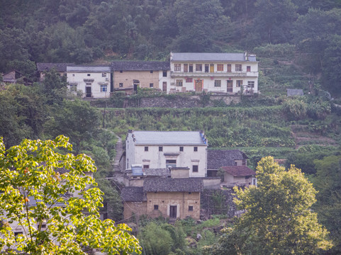 皖南大山里的小村直坑