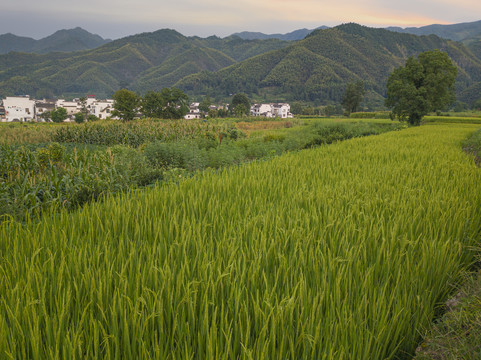 皖南古村卢村1