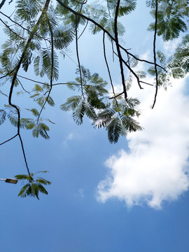 仰拍天空