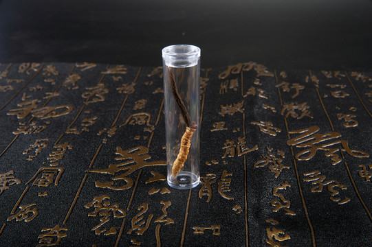 古風背景蟲草攝影圖