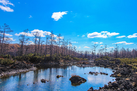 阿尔山石塘林秋景