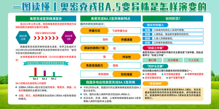 预防新冠肺炎知识宣传栏