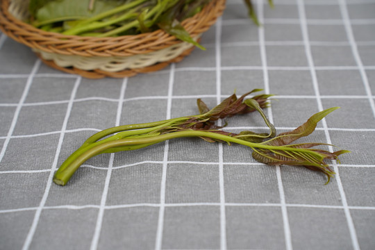 红香椿芽