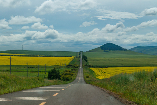 田园道路