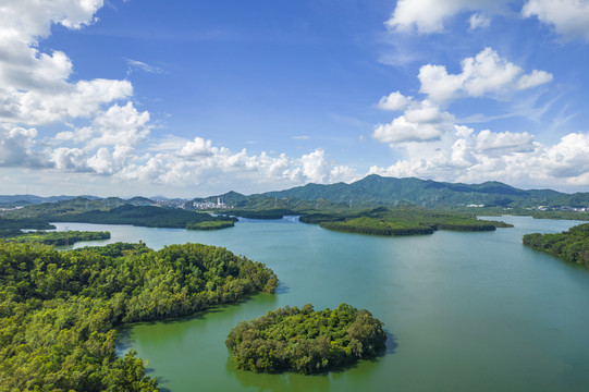 深圳西麗水庫