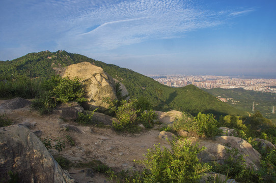 紫帽山坡地