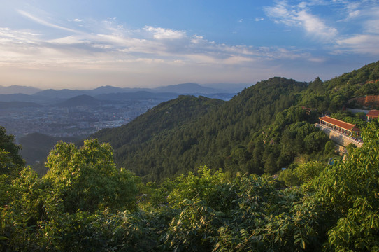 紫帽山山坡森林植被