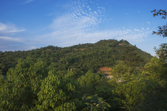 紫帽山主峰