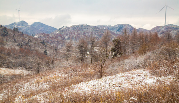 高山雪景