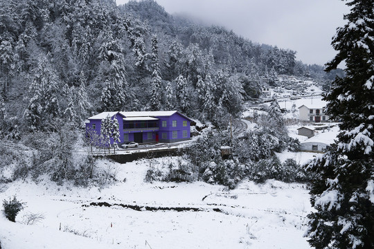 林海雪景