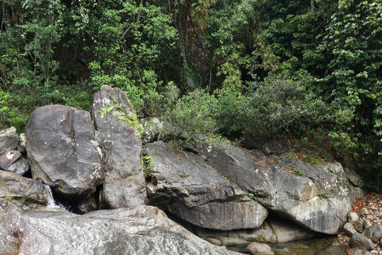 海南黎母山河沟