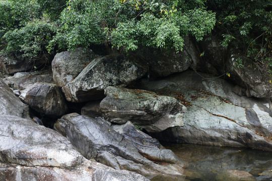 海南黎母山河沟