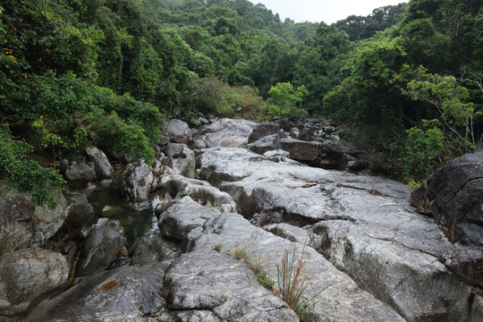 海南黎母山河沟