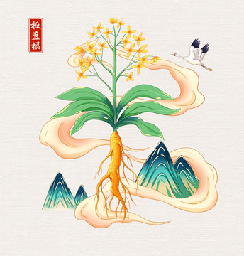 中草药板蓝根手绘插画