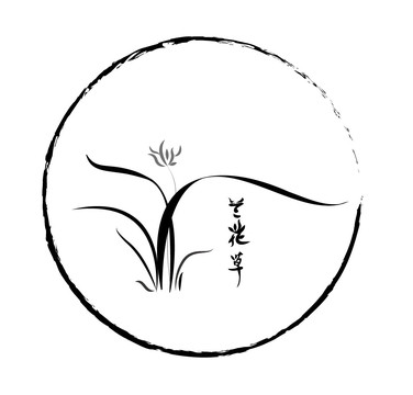 兰花草手绘