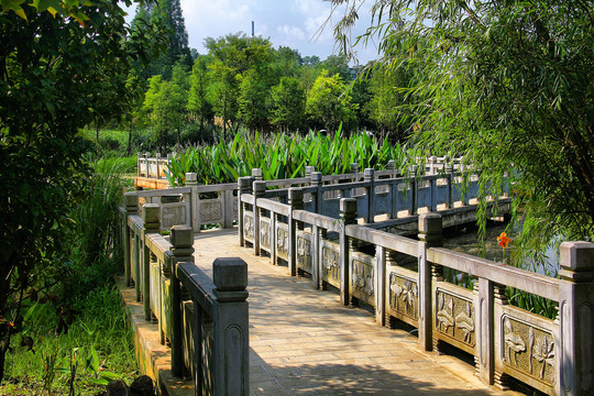 花溪湿地石路径