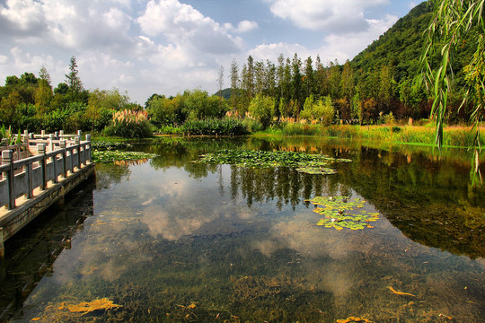 花溪湿地