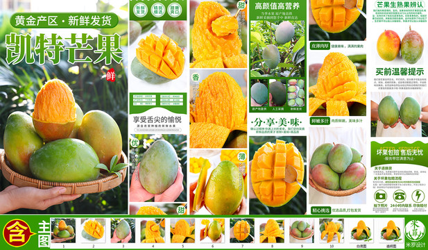 凱特芒詳情頁