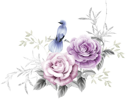 紫花鳥