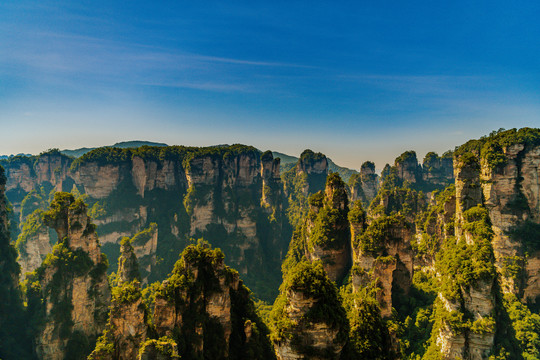 张家界石英砂岩峰林