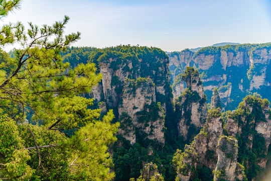 张家界石英砂岩峰林