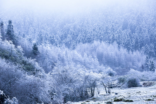 武隆仙女山雪景