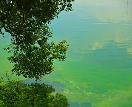 美丽的艾溪湖画面