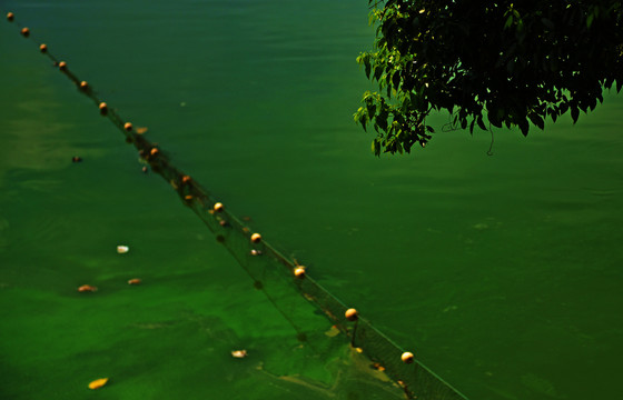 美丽的湖水