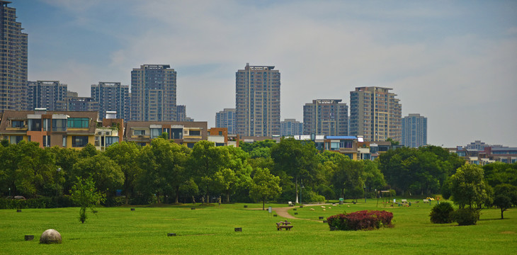 万科四季花城全景图