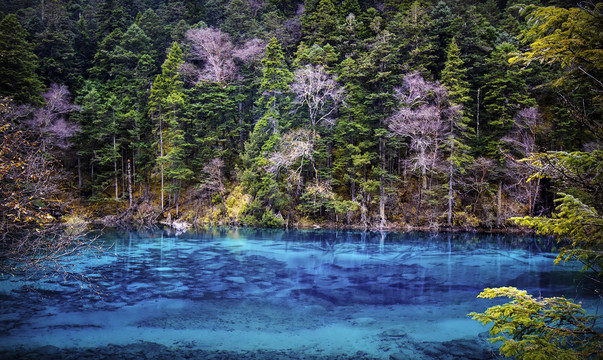 九寨沟秋景