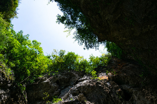 山野