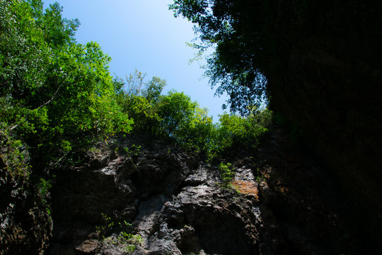 绿色山野