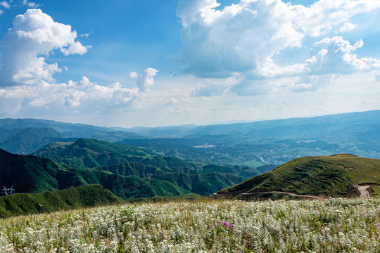 青山