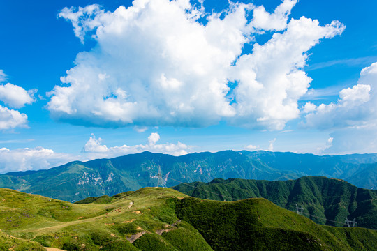 青山