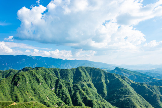 青山