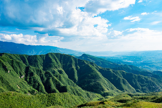 青山