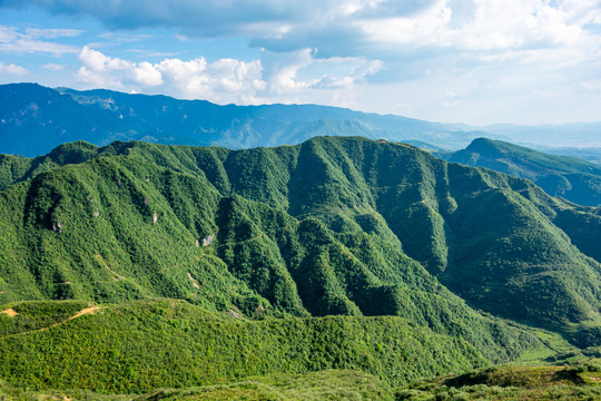 青山