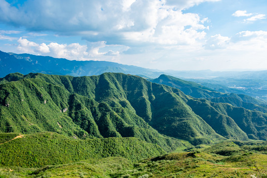 青山