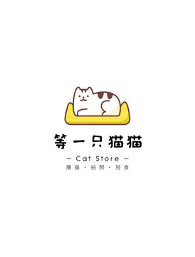 黄褐色猫咪猫咖宠物店猫舍撸猫