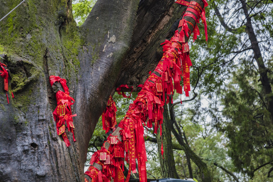 泰山祈福