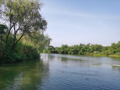 西溪湿地