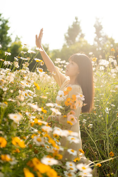 花海里的女孩子