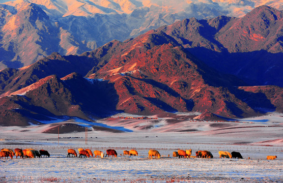 新疆山谷冬景