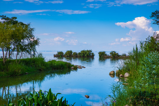 昆明东大河湿地