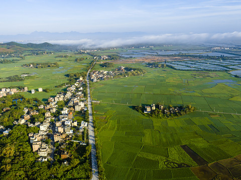 田园风光