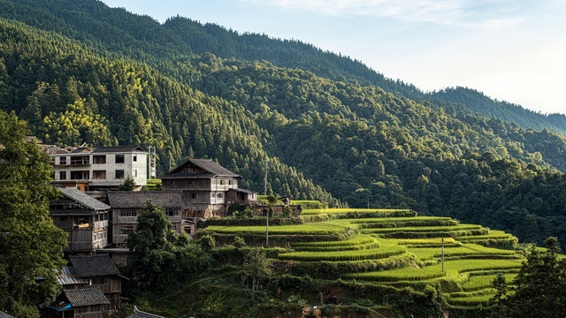 贵州梯田