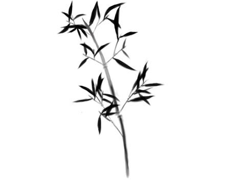 一枝竹