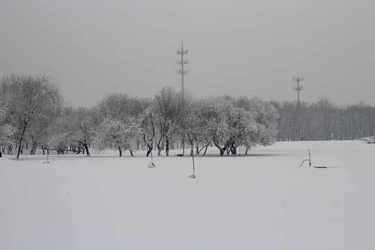 北京雪4