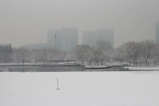 北京雪6