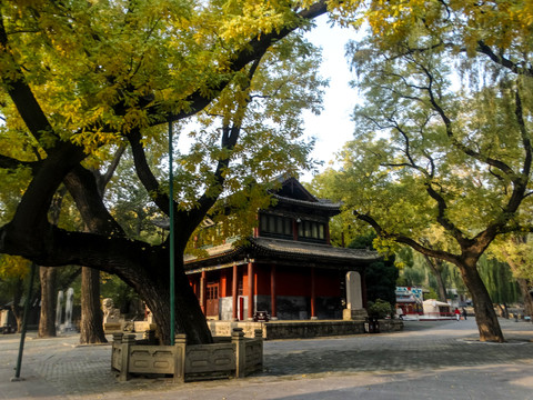 山西晋词风景